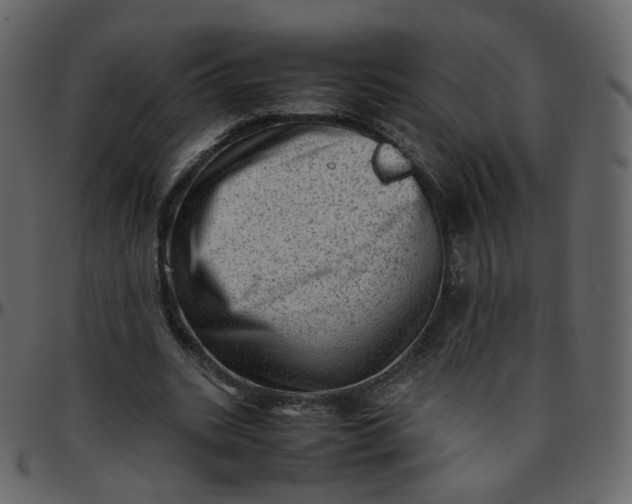 X0000095690535200801221249