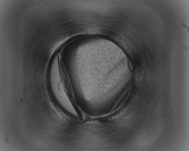 X0000095690536200801221249