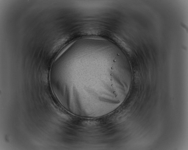 X0000095690537200801221249