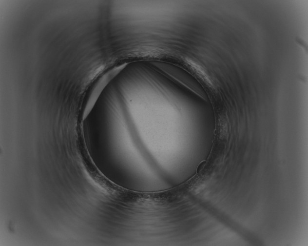 X0000095690538200801221249