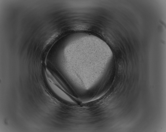 X0000095690539200801221249