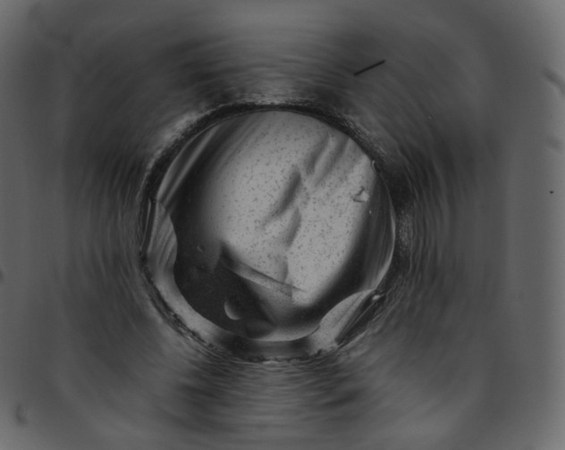 X0000095690540200801221249