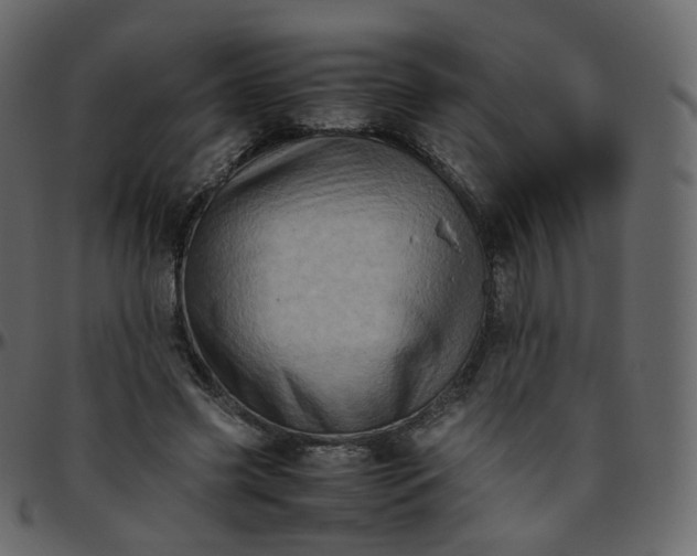 X0000095690541200801221249