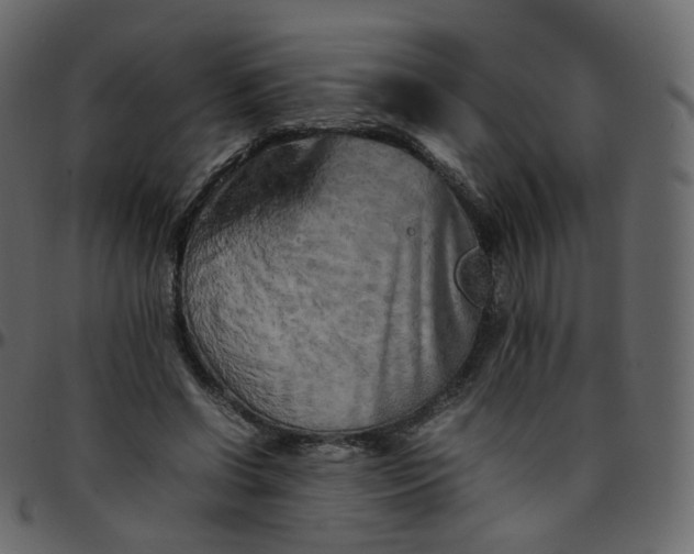 X0000095690542200801221249