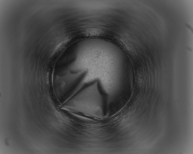 X0000095690543200801221249