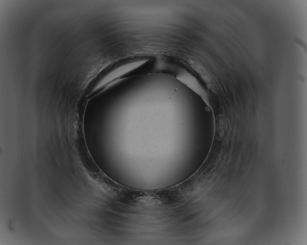 X0000095690544200801221249