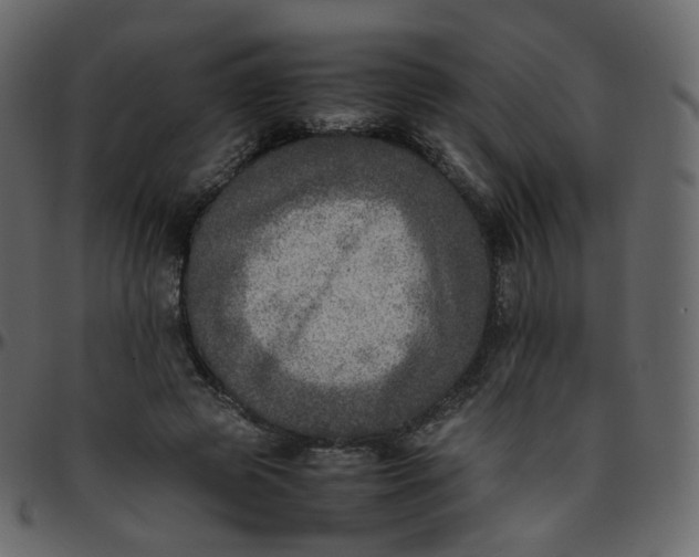 X0000095690545200801221249