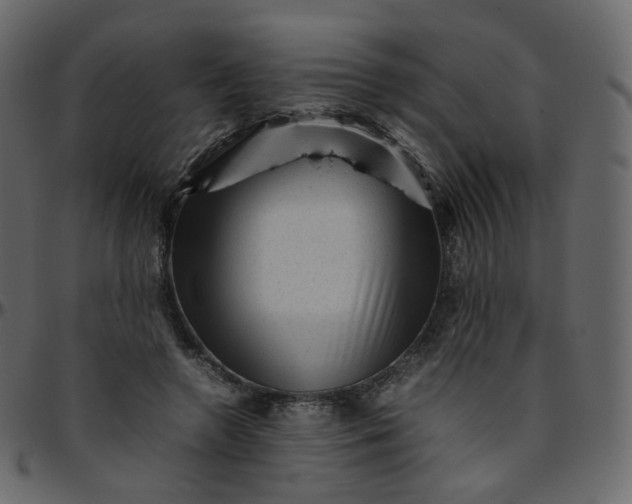 X0000095690546200801221249