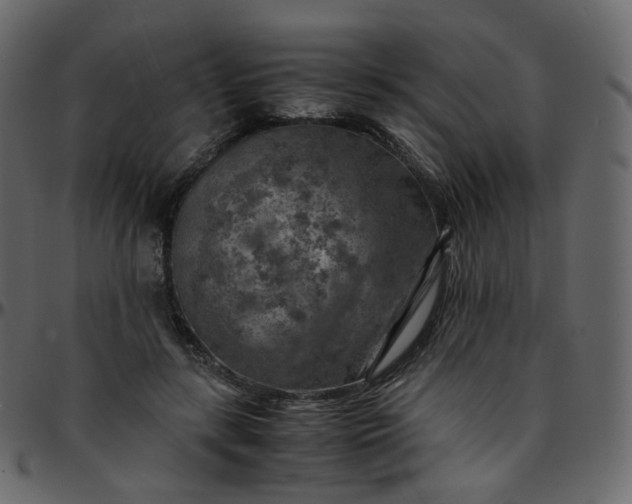 X0000095690547200801221249