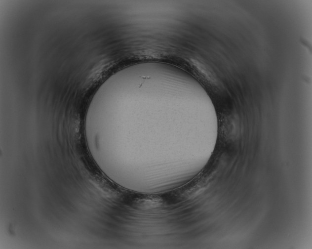 X0000095690548200801221249