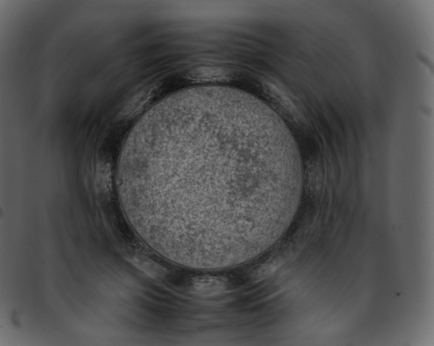 X0000095690549200801221249