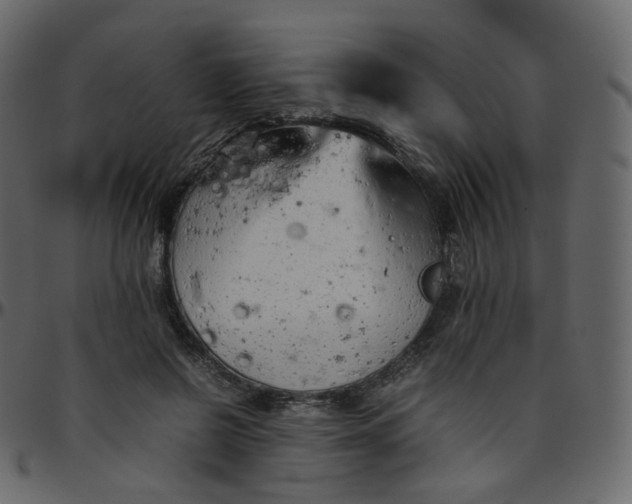 X0000095690550200801221249