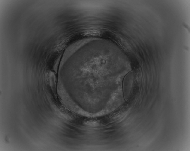 X0000095690551200801221249