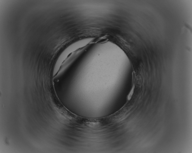 X0000095690552200801221249