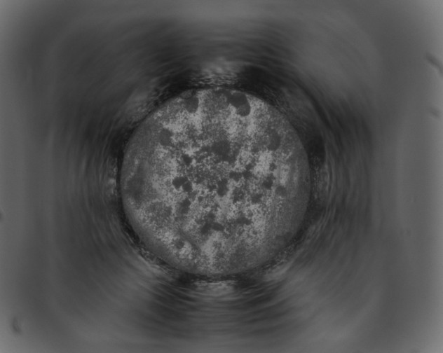 X0000095690553200801221249