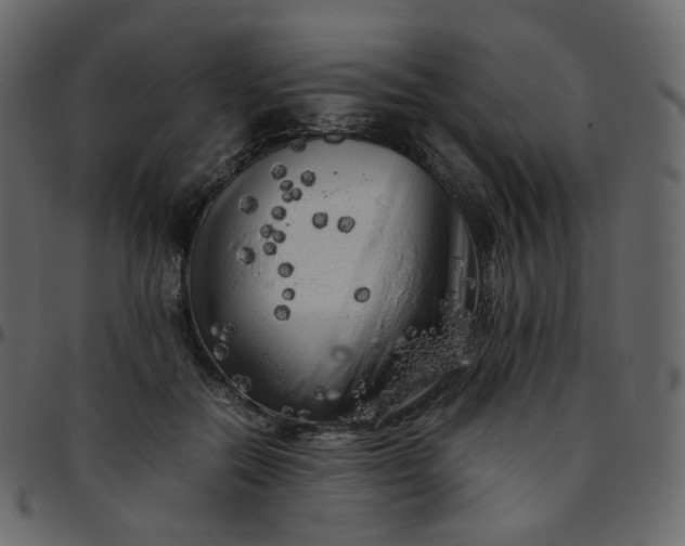 X0000095690554200801221250