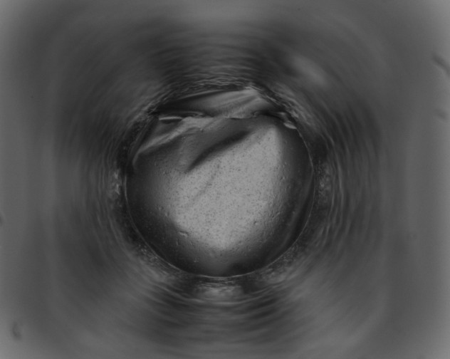 X0000095690555200801221250