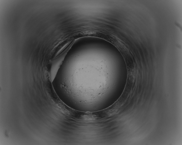 X0000095690556200801221250