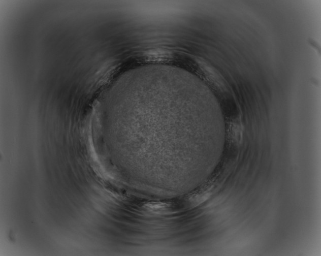 X0000095690557200801221250