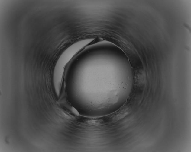 X0000095690558200801221250