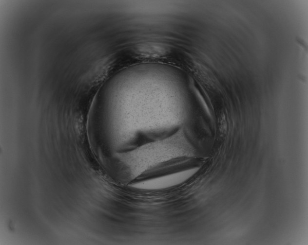 X0000095690559200801221250