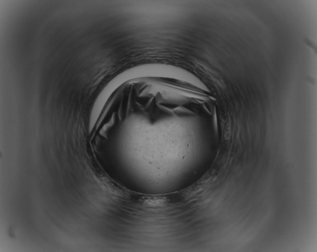 X0000095690560200801221250