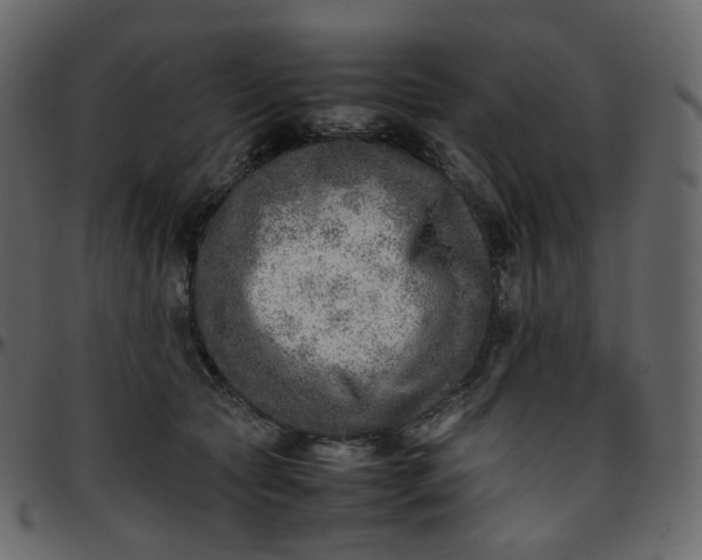 X0000095690561200801221250