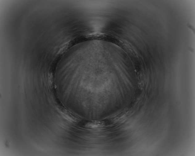 X0000095690563200801221250