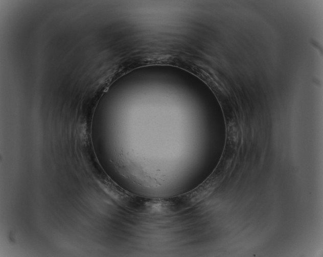 X0000095690564200801221250