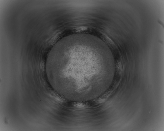 X0000095690565200801221250