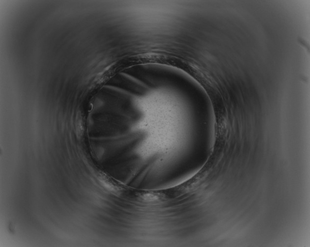 X0000095690566200801221250