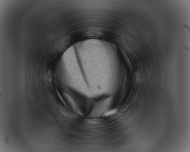 X0000095690567200801221250