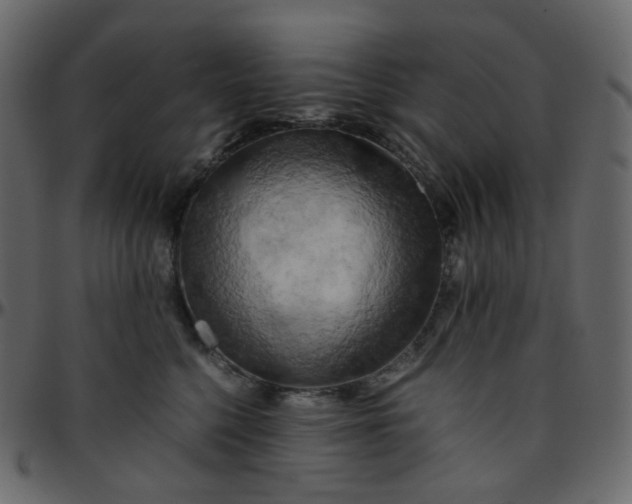 X0000095690568200801221250