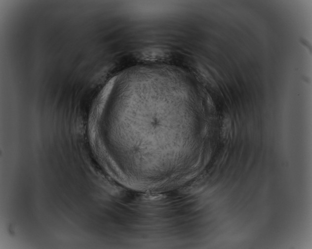 X0000095690569200801221250