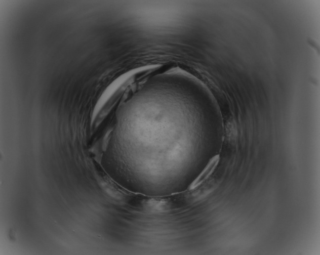 X0000095690570200801221250