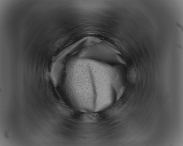 X0000095690571200801221250