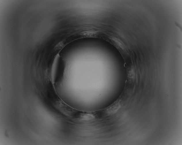 X0000095690572200801221250