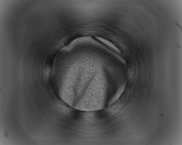 X0000095690574200801221250