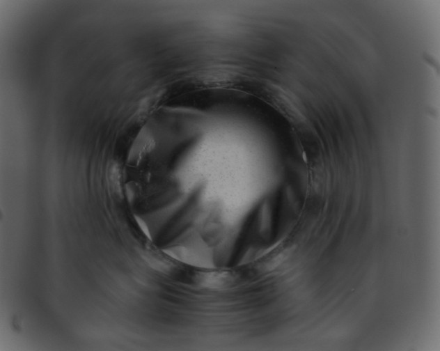 X0000095690575200801221250