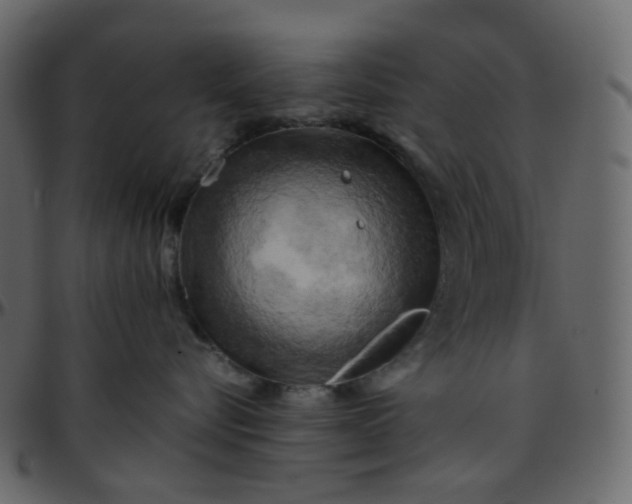 X0000095690576200801221250