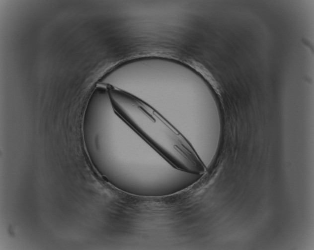 X0000095690577200801221249