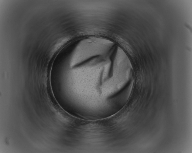 X0000095690578200801221249