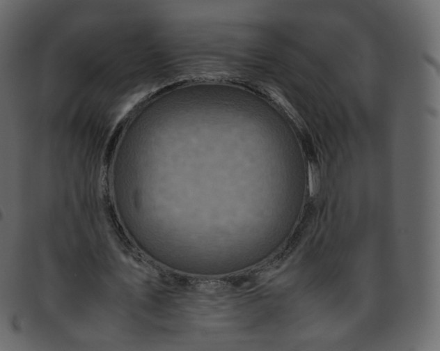 X0000095690579200801221249