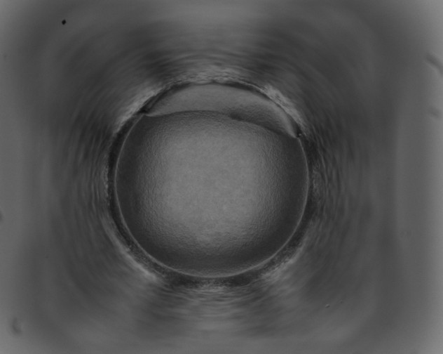 X0000095690581200801221249