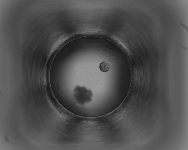 X0000095690582200801221249