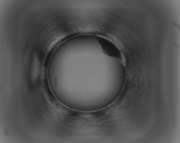 X0000095690583200801221249