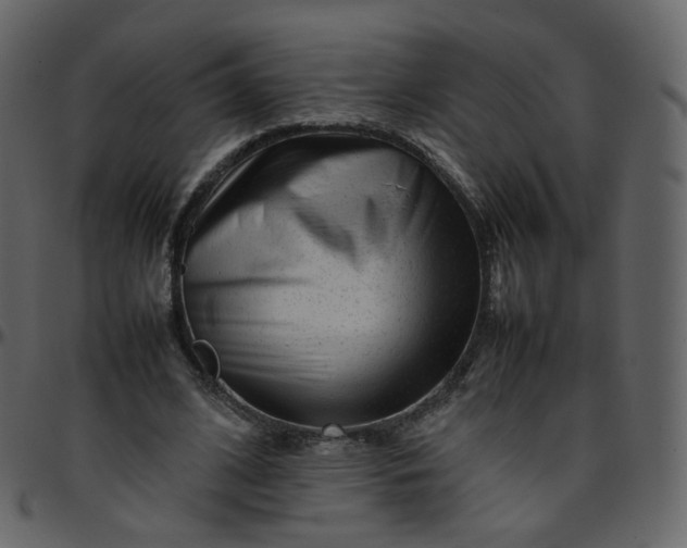 X0000095690584200801221249