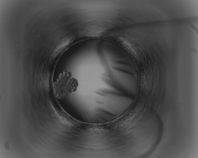 X0000095690586200801221249