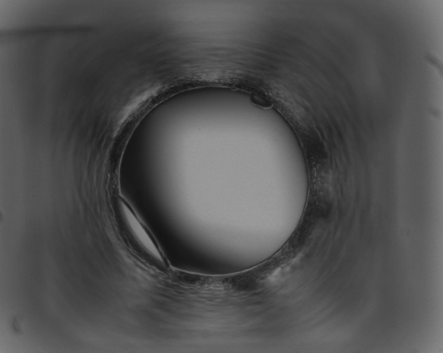 X0000095690587200801221249