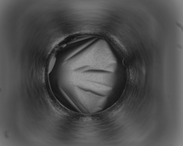 X0000095690588200801221249